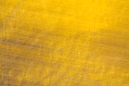 _MG_0392++.JPG